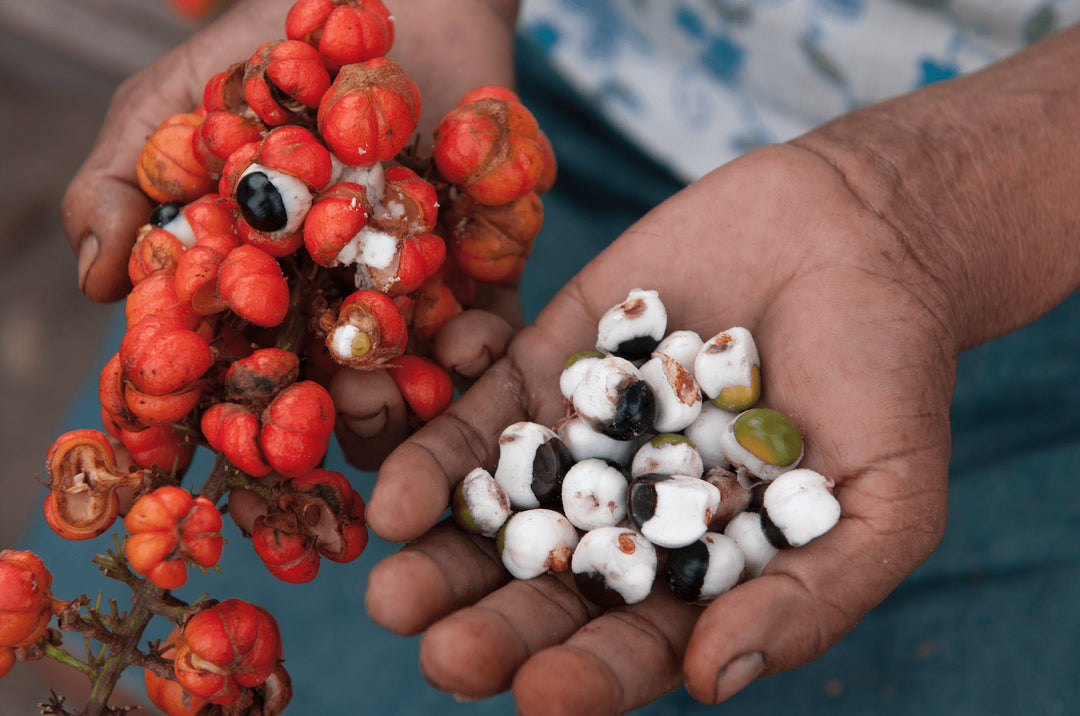 7 things you don’t know about Guaraná