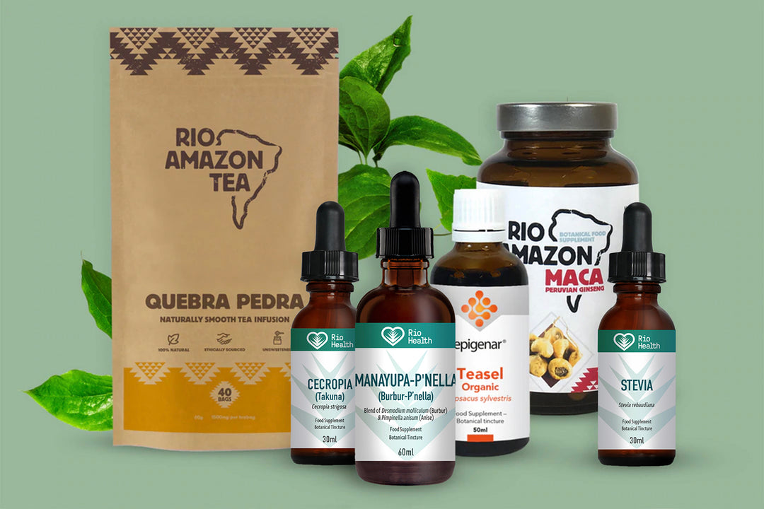 South American Botanicals Quebra Pedra