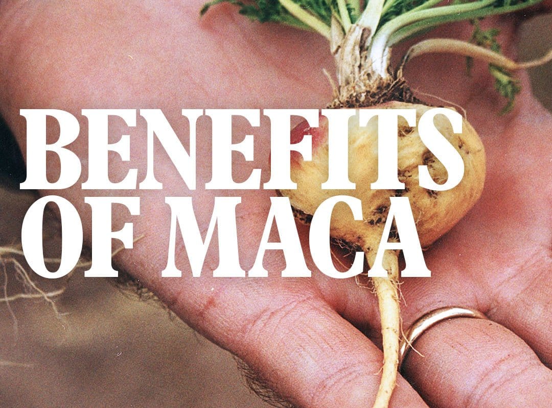 Benefits of Maca