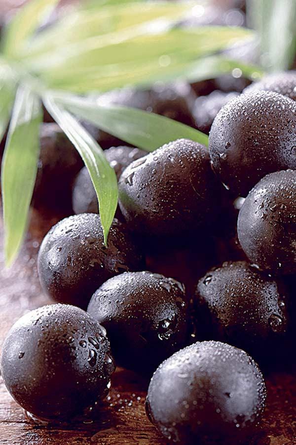 Açaí, also known as ‘Beauty Berry’