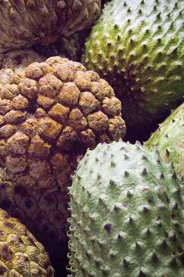 Graviola/ Soursop
