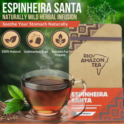 Rio Amazon Espinheira Santa Tea