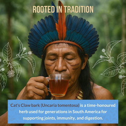 Rio Amazon Cat’s Claw Tea