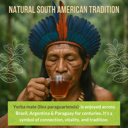 Rio Amazon Yerba Maté Tea