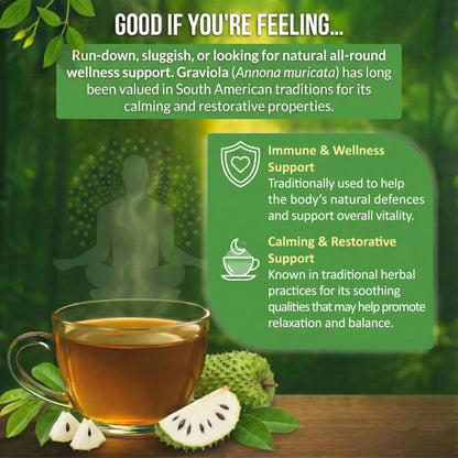 Rio Amazon Graviola / Soursop Tea