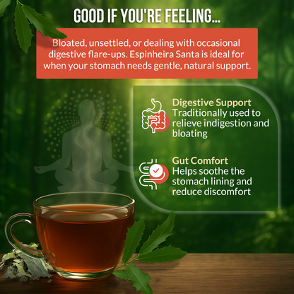 Rio Amazon Espinheira Santa Tea