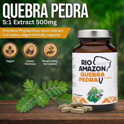 Rio Amazon Quebra Pedra 5:1 Extract 500mg 90 Veg Capsules