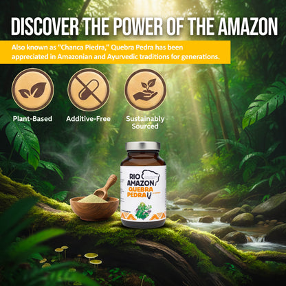 Rio Amazon Quebra Pedra 5:1 Extract 500mg 90 Veg Capsules