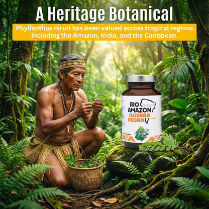 Rio Amazon Quebra Pedra 5:1 Extract 500mg 90 Veg Capsules