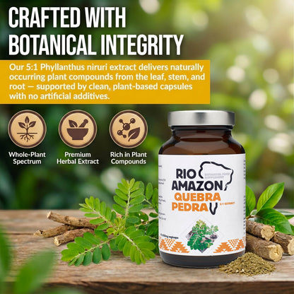 Rio Amazon Quebra Pedra 5:1 Extract 500mg 90 Veg Capsules