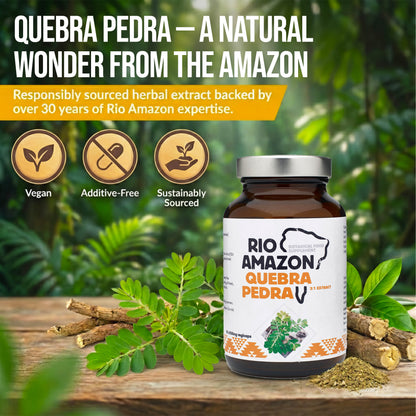 Rio Amazon Quebra Pedra 5:1 Extract 500mg 90 Veg Capsules