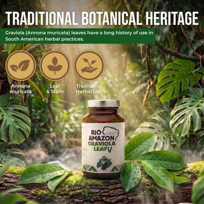Rio Amazon Graviola (Soursop) Leaf 500mg Veg Capsules