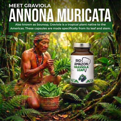 Rio Amazon Graviola (Soursop) Leaf 500mg Veg Capsules