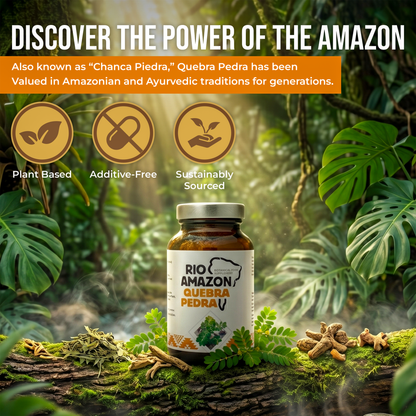 Rio Amazon Quebra Pedra 500mg Veg Capsules