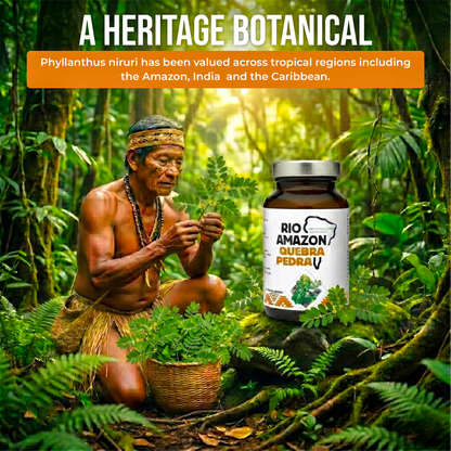 Rio Amazon Quebra Pedra 500mg Veg Capsules