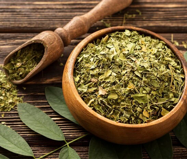 Yerba Maté